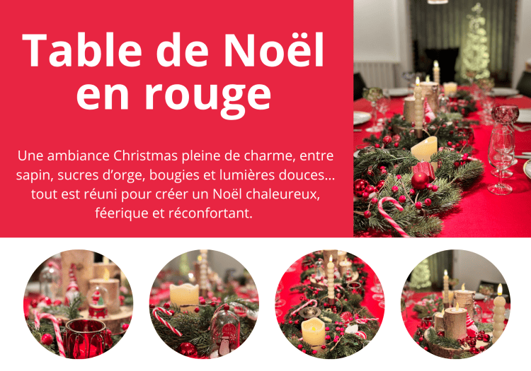 Location de décoration pour une table Noel